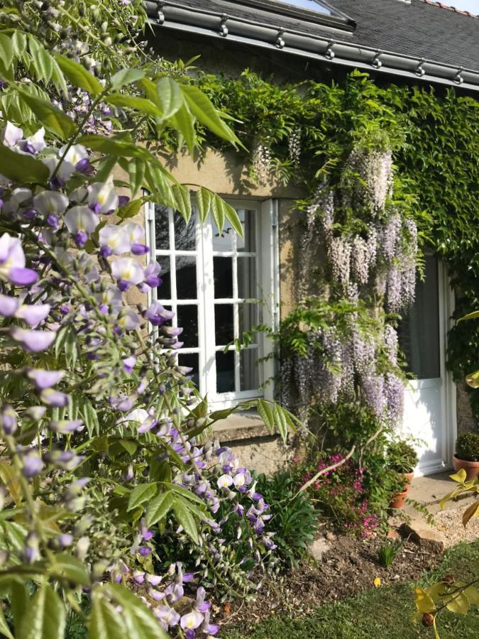 Walnut Tree Gite Brittany Vila Boderel Exterior foto