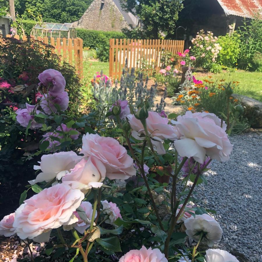 Walnut Tree Gite Brittany Vila Boderel Exterior foto